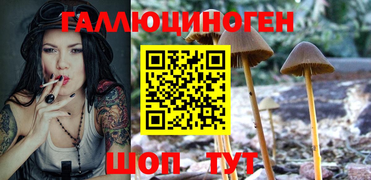 Тара  купить закладку  Вход с VPN  Псилоцибиновые грибы Psilocybine cubensis  Галлюциногенные грибы Psilocybine cubensis 